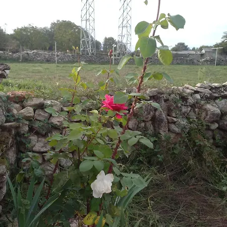 O Corazon Da Ribeira Sacra *