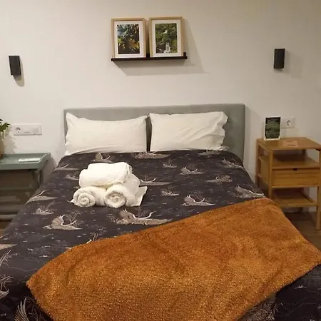 O Corazon Da Ribeira Sacra Guest house La Teijeira