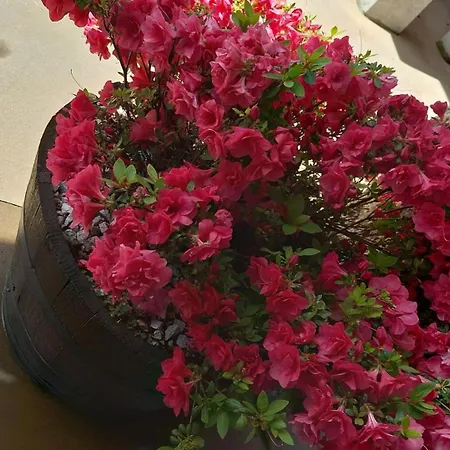 Penzion O Corazon Da Ribeira Sacra La Teijeira