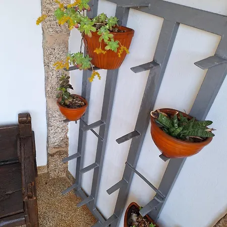 O Corazon Da Ribeira Sacra Guest house *