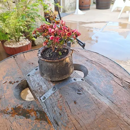 O Corazon Da Ribeira Sacra 3*