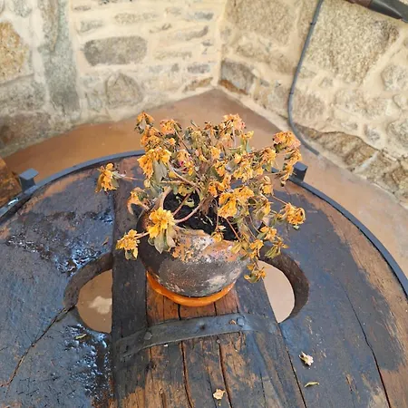 O Corazon Da Ribeira Sacra