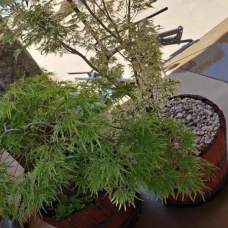 O Corazon Da Ribeira Sacra La Teijeira