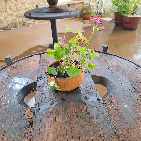 O Corazon Da Ribeira Sacra 3*