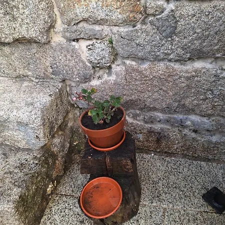 بيت ضيافة O Corazon Da Ribeira Sacra 3*