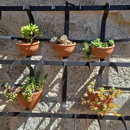 O Corazon Da Ribeira Sacra 3*