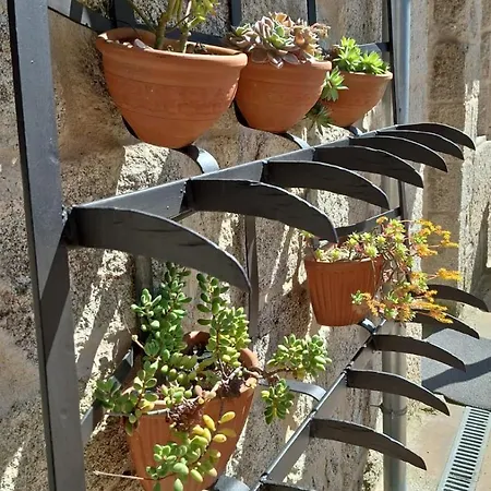 O Corazon Da Ribeira Sacra Guest house *