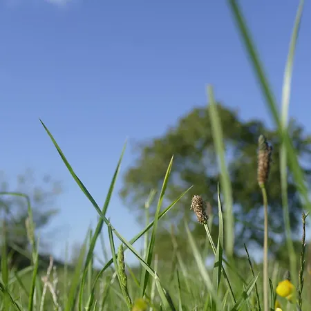 O Corazon Da Ribeira Sacra Maison d'hôtes 3*