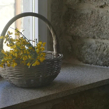 O Corazon Da Ribeira Sacra بيت ضيافة 3*