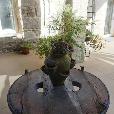 Guest house O Corazon Da Ribeira Sacra La Teijeira
